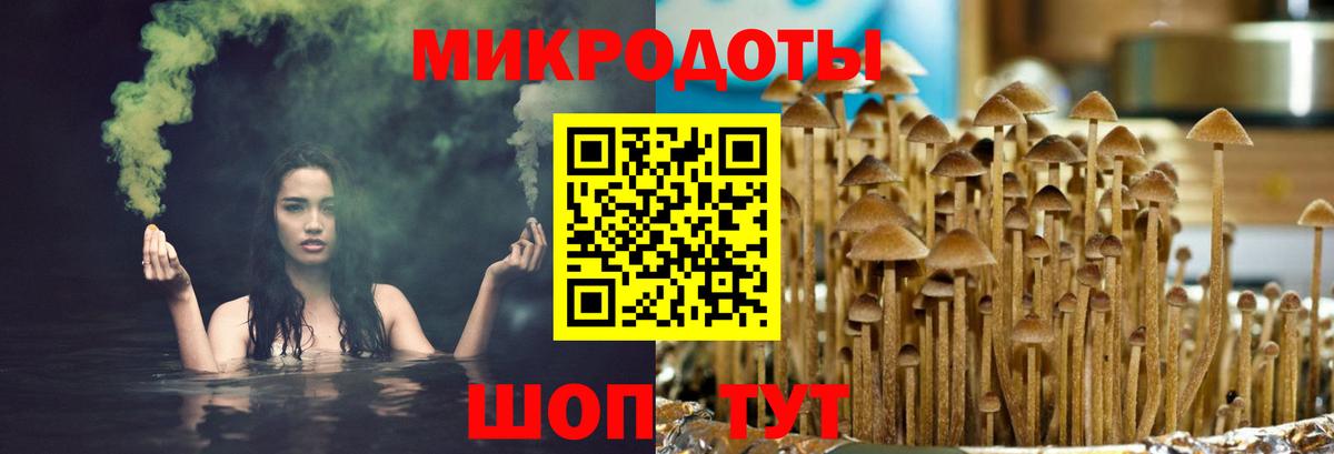 Мурино  Псилоцибиновые грибы Psilocybine cubensis  Вход с VPN 